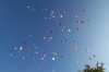 Luftballon - Weitflug - Wettbewerb 2